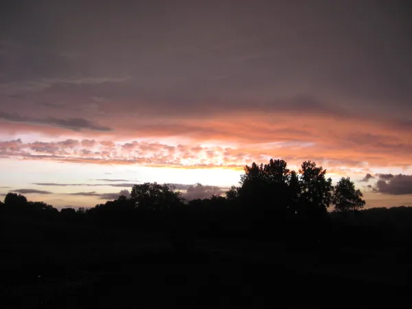 img of Merry Sun