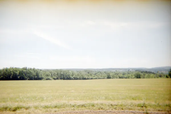 img of A Summer Farewell