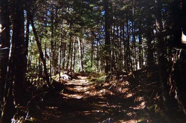 img of Echoes of Yesterday