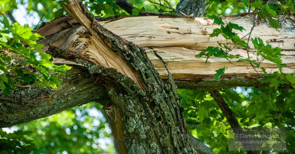 img of Forever Broke